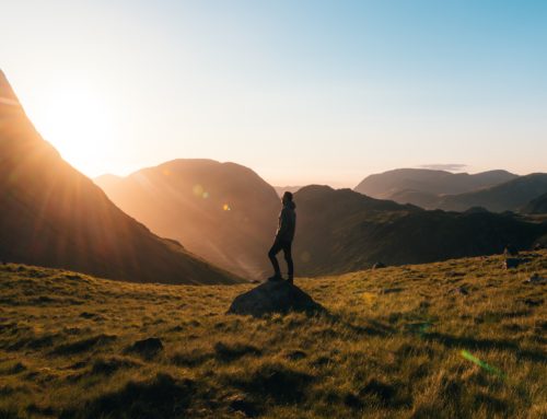 Nouvelle journée Incentive nature à venir pour Plainitude