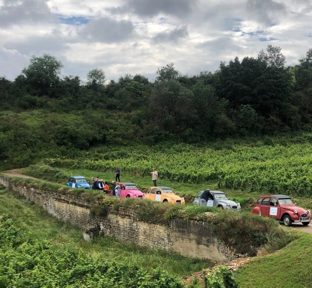 Incentive entreprise avec la découverte des vignobles et vignerons en 2CV