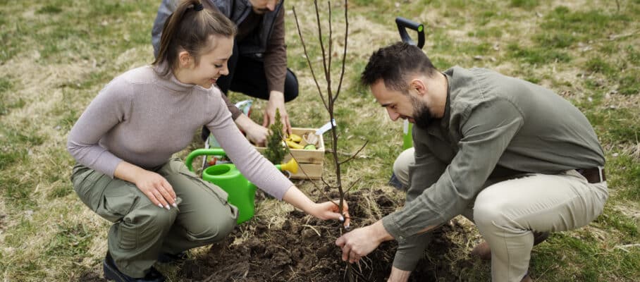 Événement d'entreprise RSE de reforestation