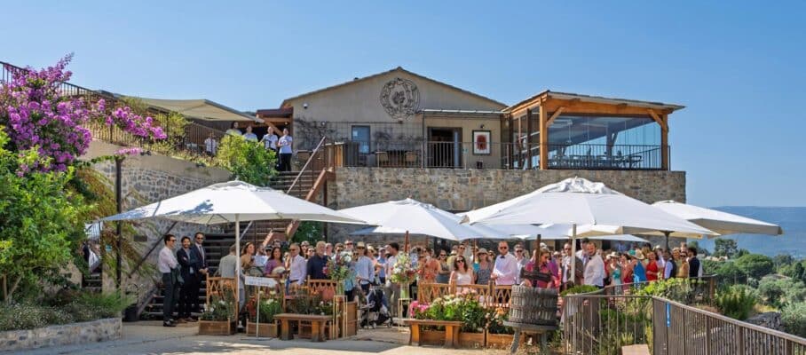 domaine viticole pour événement d'entreprise en Provence